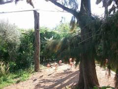 183 D21 SANARY SUR MER 1_000043